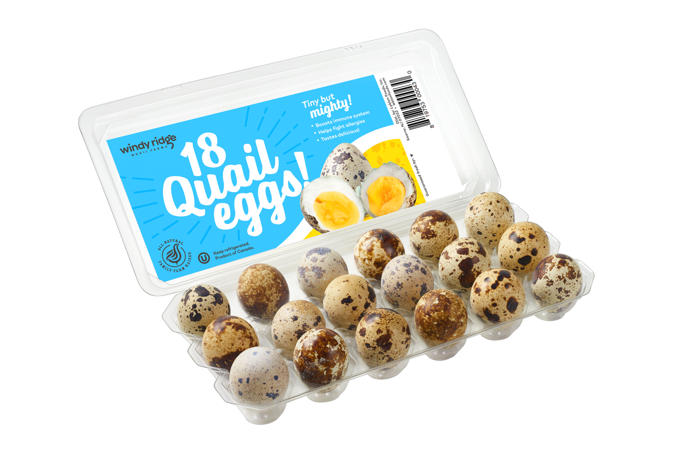 Quail Eggs Windy Ridge Quail Eggs